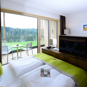 Gemütliche Zimmer mit Blick ins Grüne - Schwarz Alm Zwettl