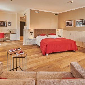 Seminarhotel - Doppelzimmer - Symposion Hotel Das Schloss an der Eisenstrasse 