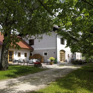 Jagdhaus im Hametwald